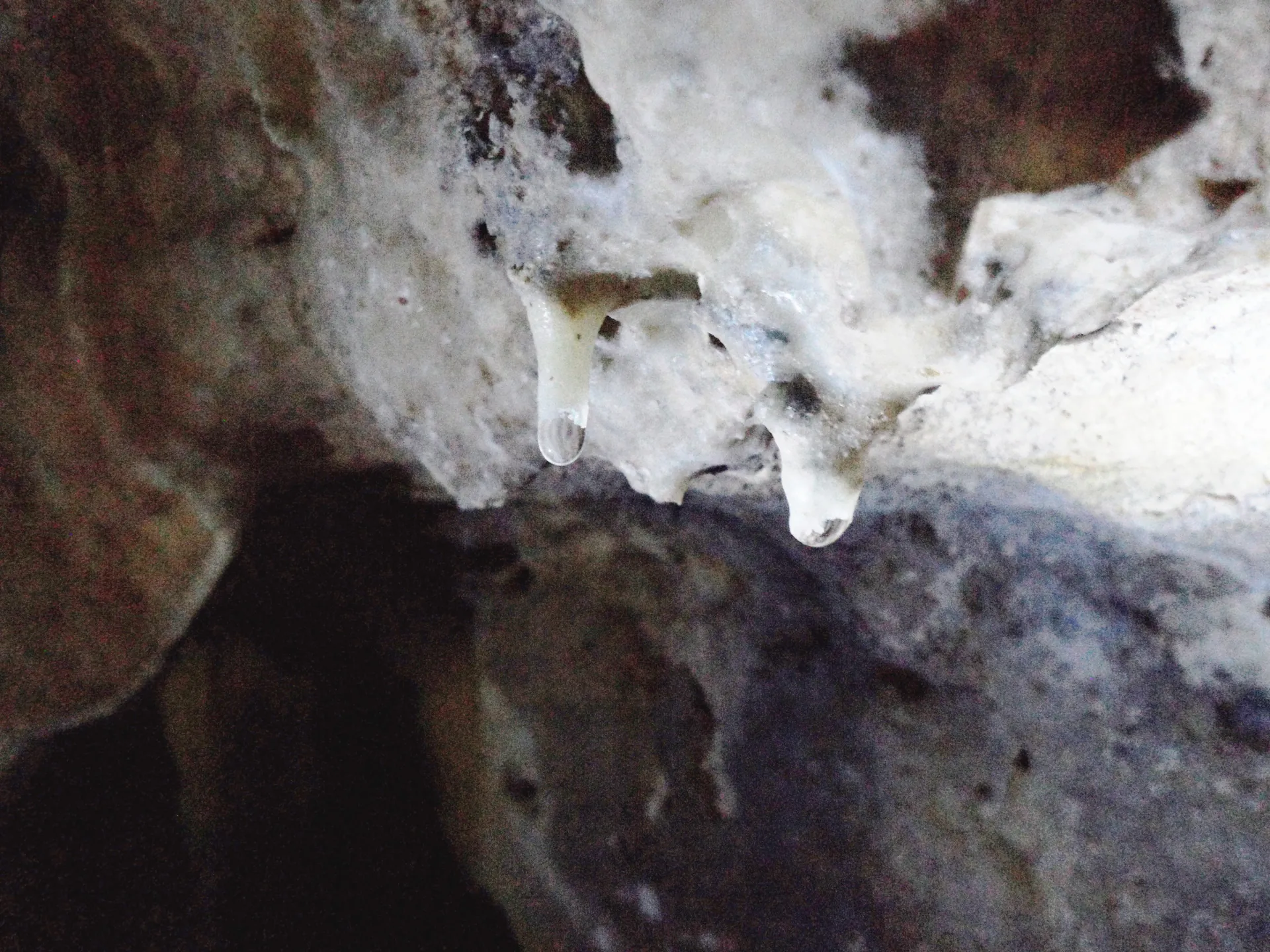 Formation Stalagmites and Stalactites by Slow Dripping Water Fontein Cave Arikok National Park Santa Cruz Aruba